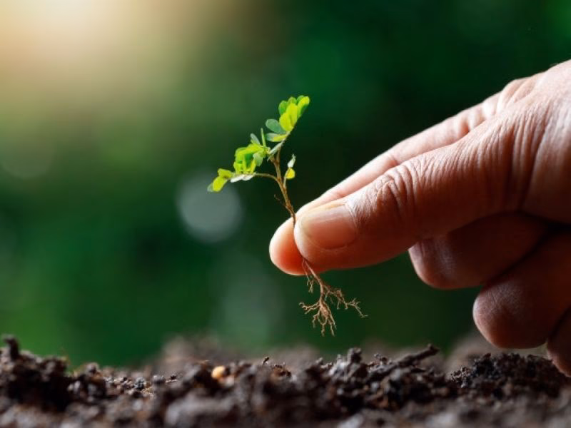 ¿Qué opinan los argentinos sobre el cuidado del Medio Ambiente?