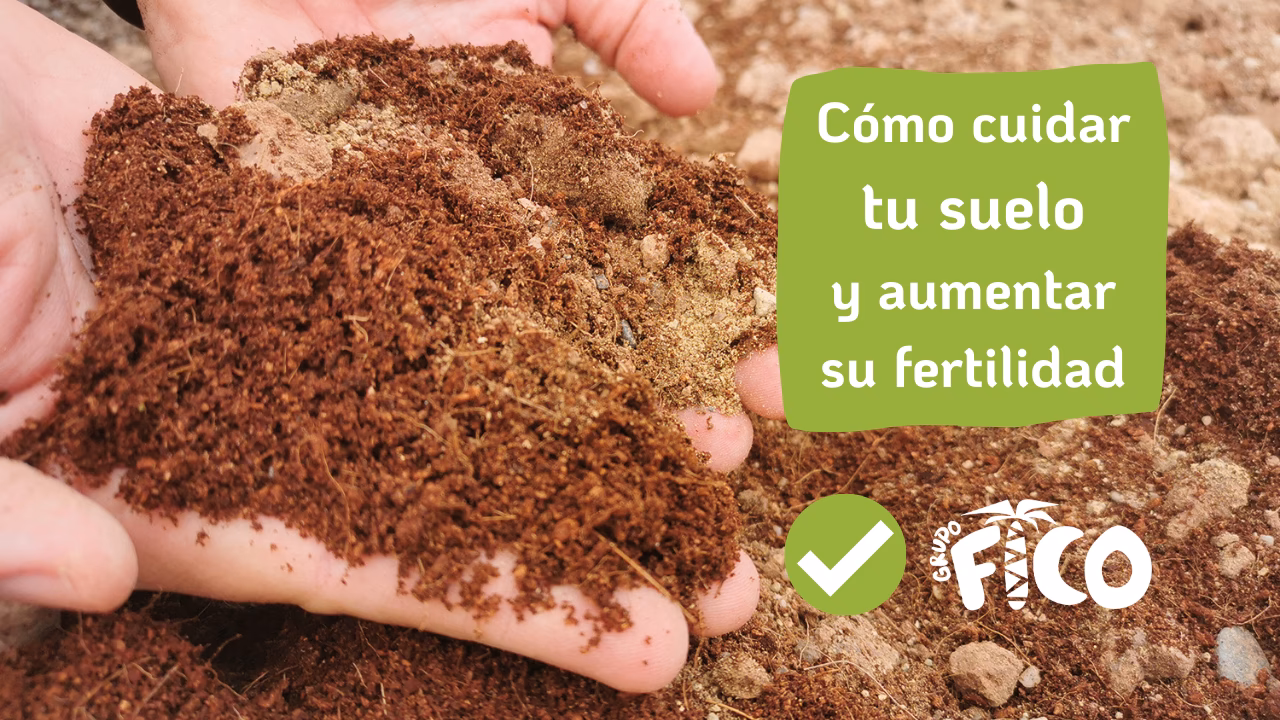 ¿Cómo mantener el suelo saludable y fértil?