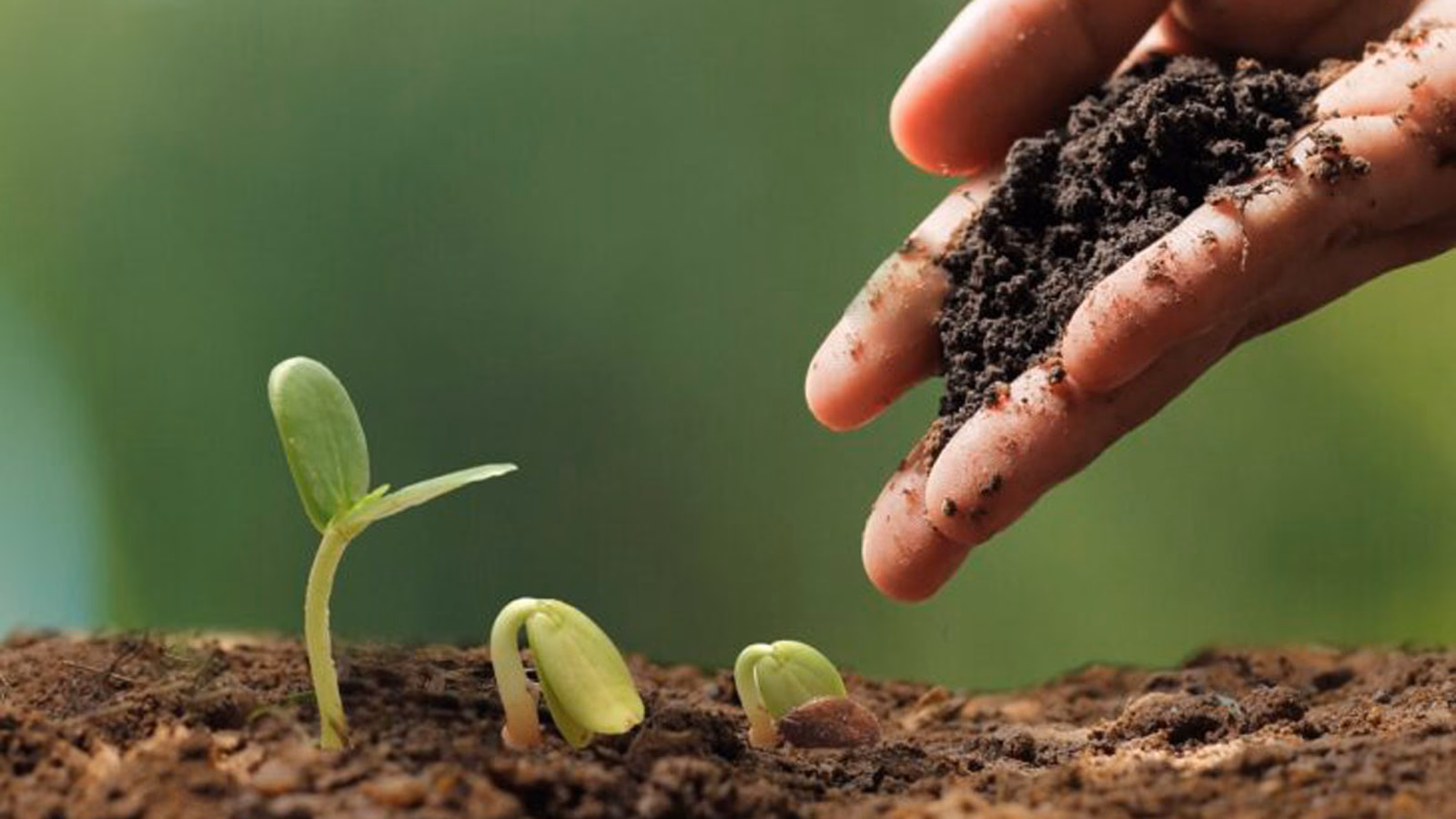 ¿Qué es comunidad tierra fértil?