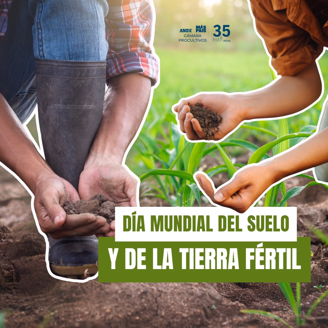 ¿Cómo tener una tierra fértil?