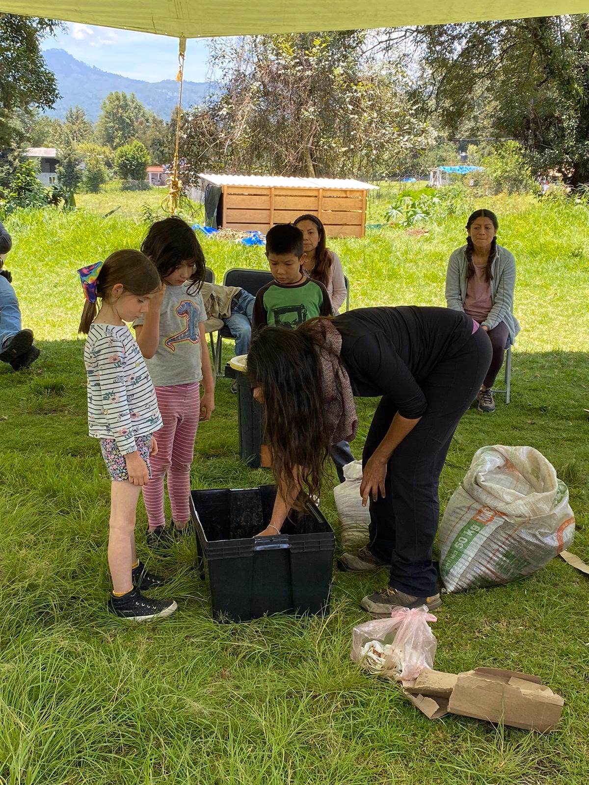 ¿Por qué es importante tener una educación ambiental sostenible?