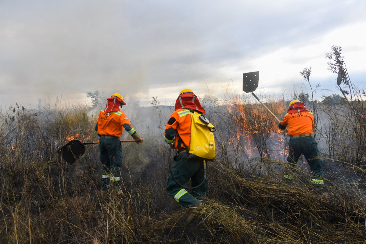 ¿Cuáles son las áreas protegidas más afectadas por la minería aurífera en Bolivia?