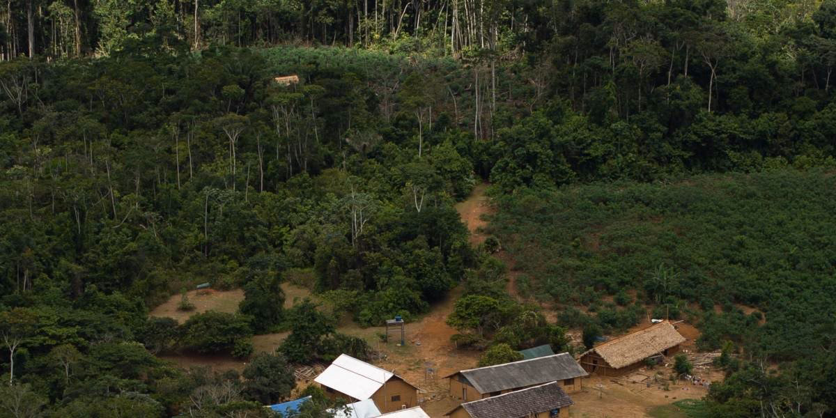 ¿Cómo afecta la deforestación a la biodiversidad?