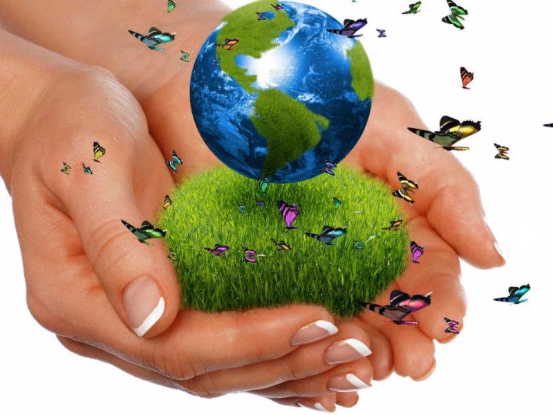 ¿Cómo garantizar el futuro del Medio Ambiente?