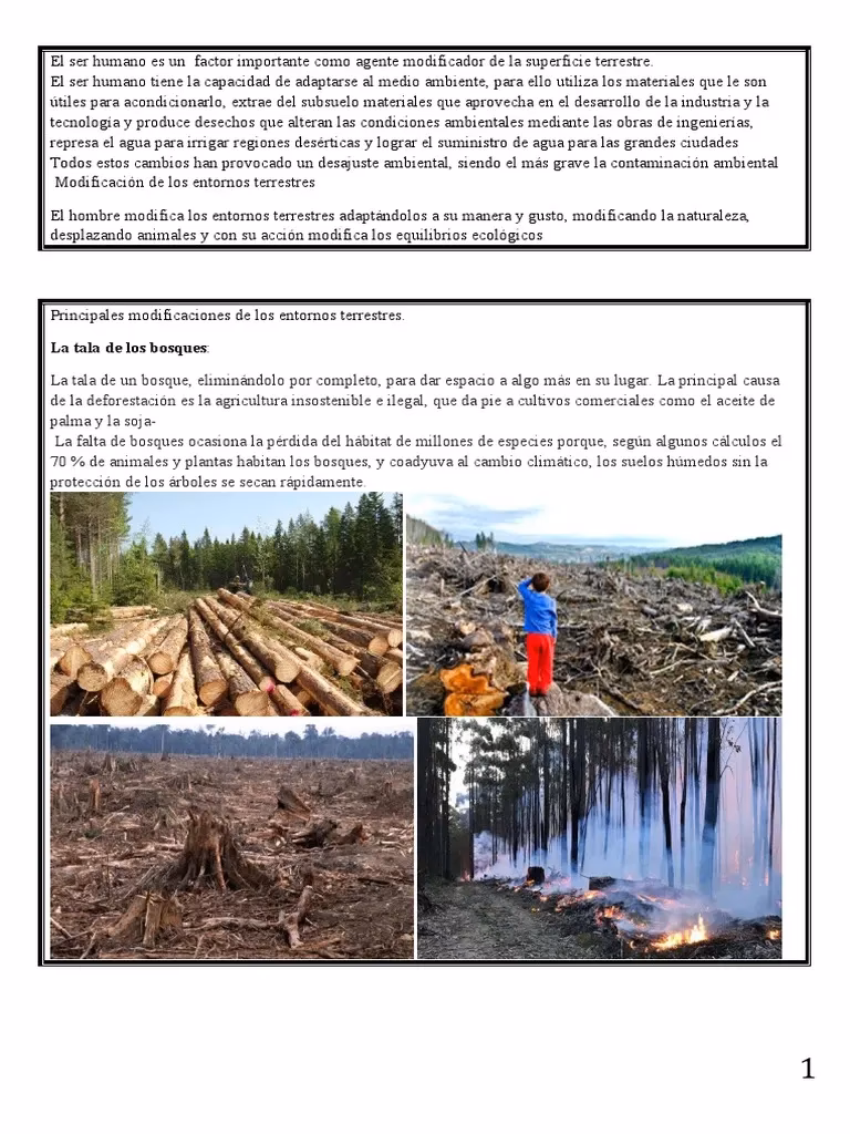 ¿Cuáles son los principales factores modificadores del Medio Ambiente?