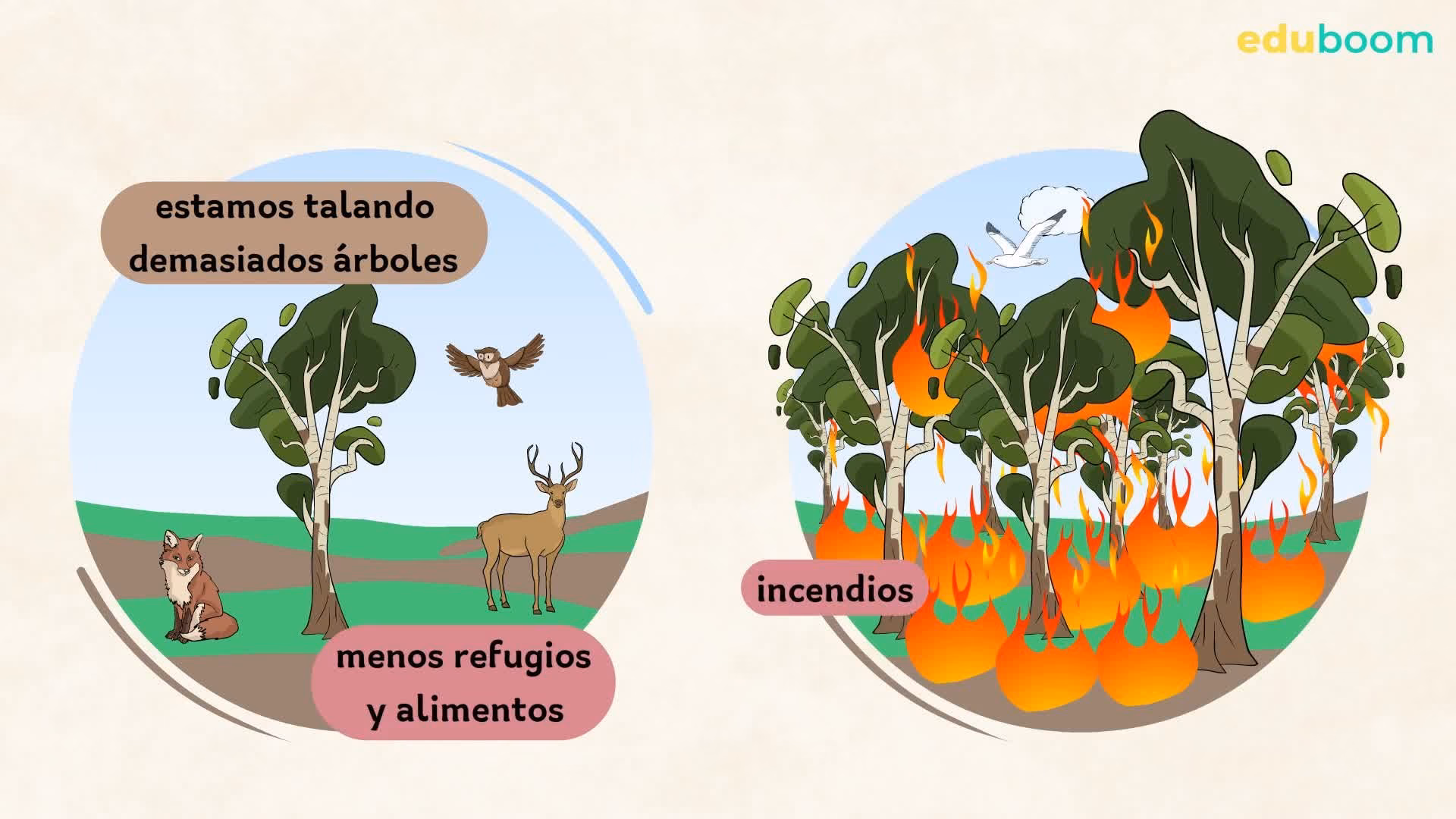 ¿Cómo el hombre transforma el medio?