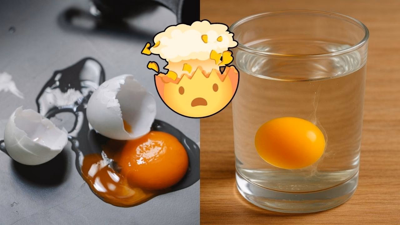 ¿Cuándo se rompe la cáscara de un huevo se puede comer?