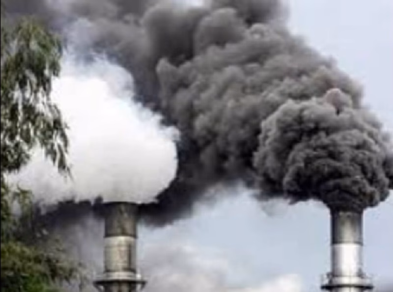 ¿Cuáles son las principales fuentes de emisiones de dióxido de carbono?