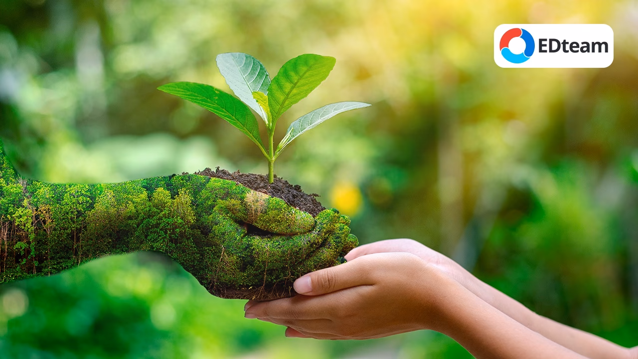 ¿Cuál es el impacto de la siembra en el medio ambiente?