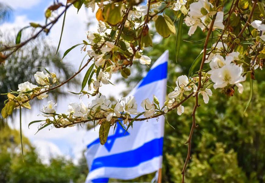 ¿Qué ha puesto el Instituto Aravá de Estudios Medioambientales en la Aravá?