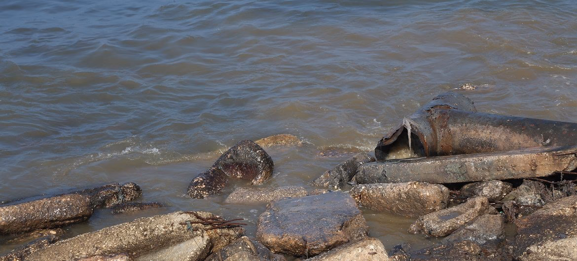 ¿Qué ha puesto el Instituto Aravá de Estudios Medioambientales en la Aravá?