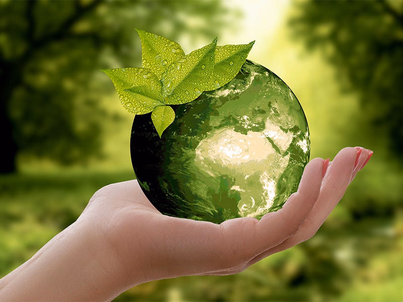 ¿Cuál es el tema del Día Mundial del Medio Ambiente?