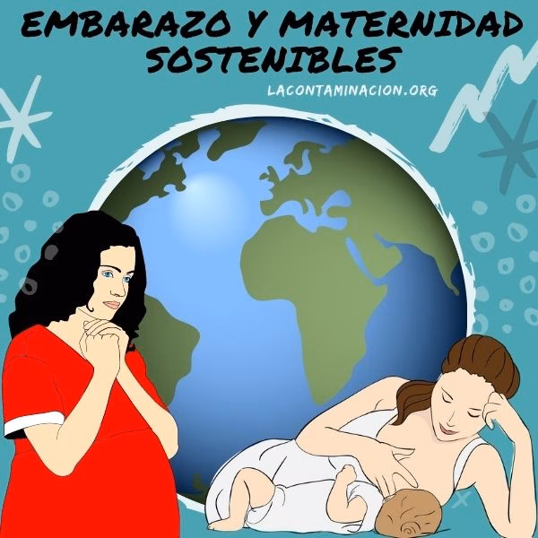 ¿Cuál es el tema de la maternidad?