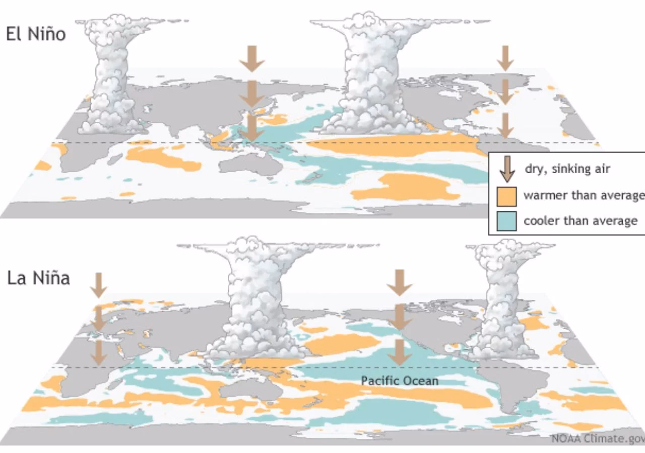 ¿Cómo afecta la variabilidad climática de el niño al calentamiento global?
