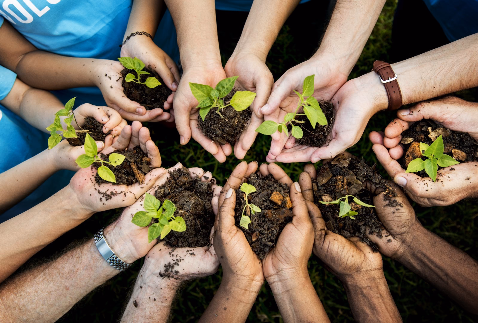 ¿Cuáles son los países que tienen la Ley de Educación Ambiental?