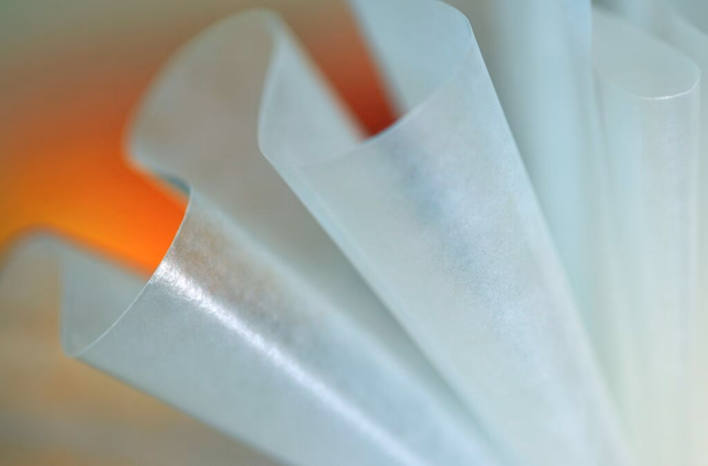 ¿Qué es el papel biodegradado?