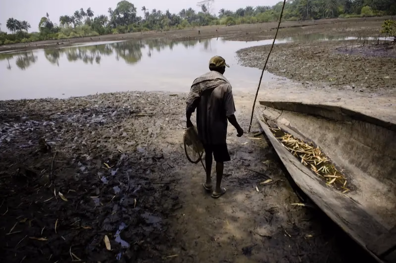 ¿Qué pasó con el petróleo del delta del Niger?