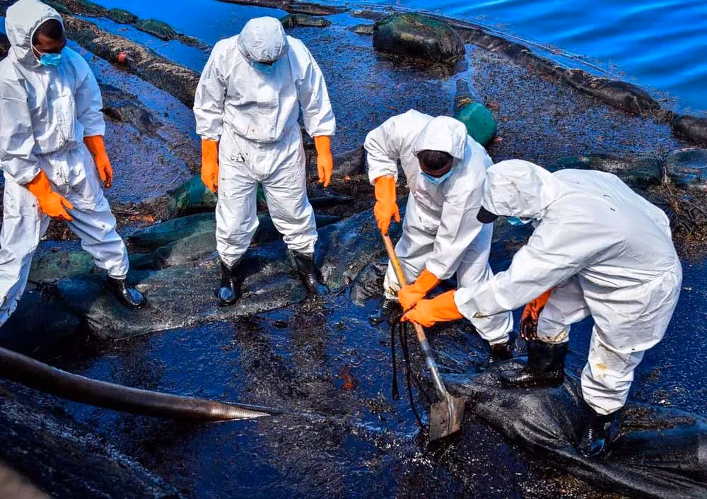 ¿Cómo afecta el petróleo a la fauna?