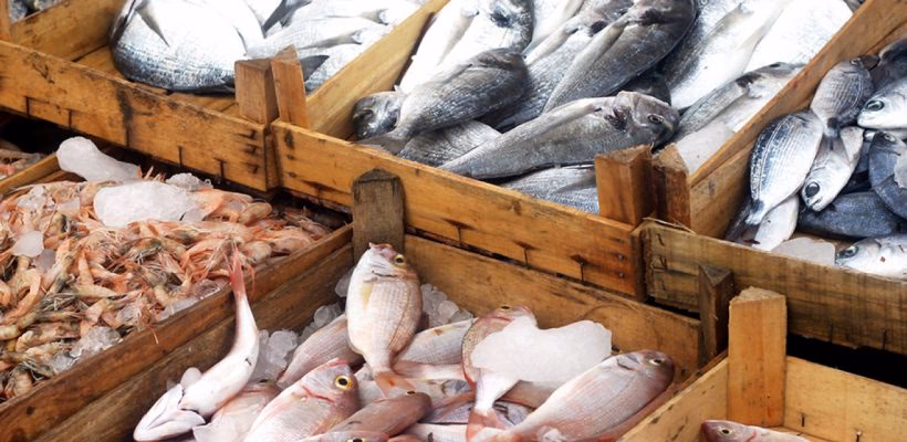 ¿Cuáles son las repercusiones directas de la ingesta de plomo metálico?