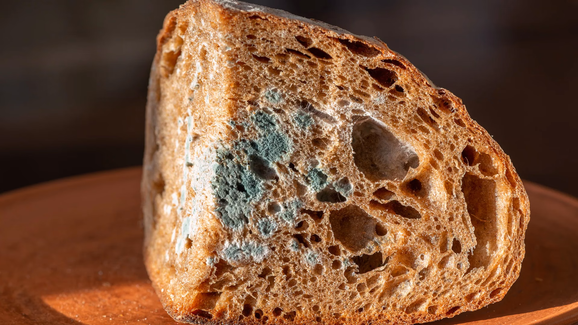 ¿Cómo prevenir el crecimiento de microorganismos del moho del PAN?