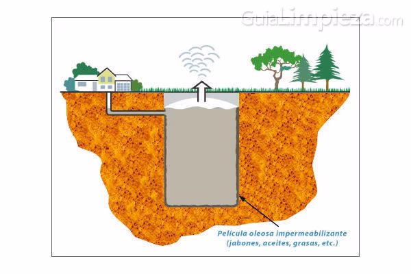 ¿Cuáles son las consecuencias de los pozos sépticos saturados?