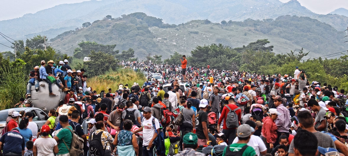 ¿Cuáles son las características de los migrantes ambientales?