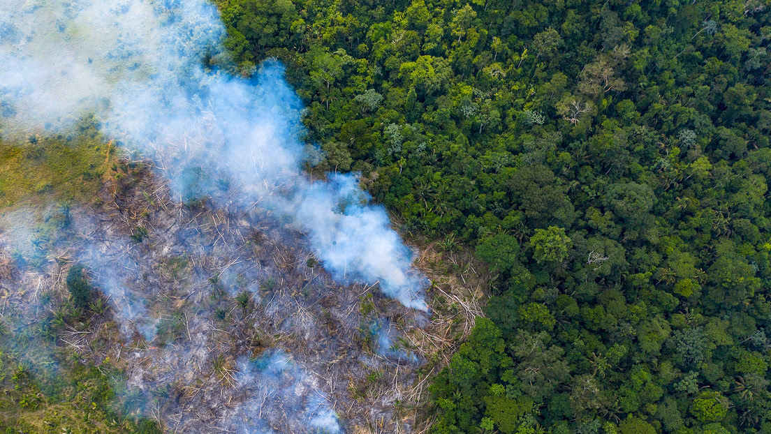 ¿Cuáles son los efectos negativos del proteccionismo?