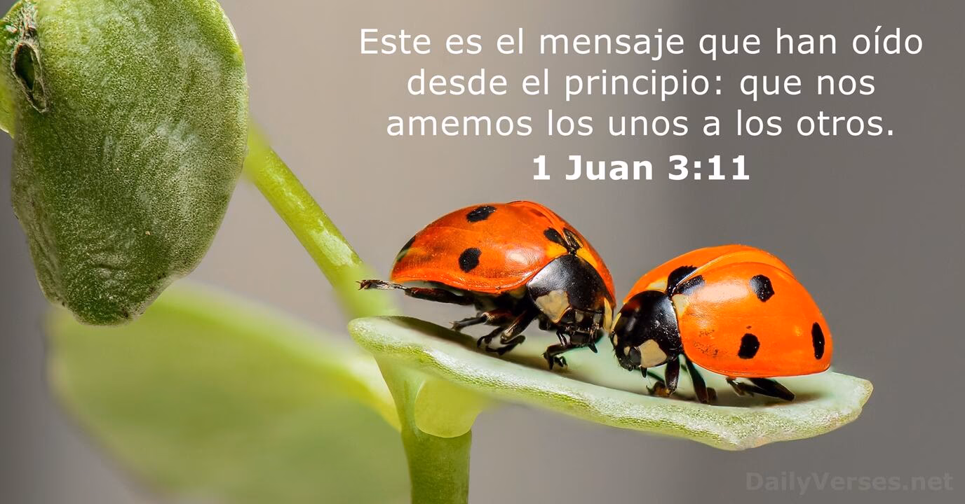 ¿Qué dice la Biblia en cuanto tu saludo llegó a mis oídos?