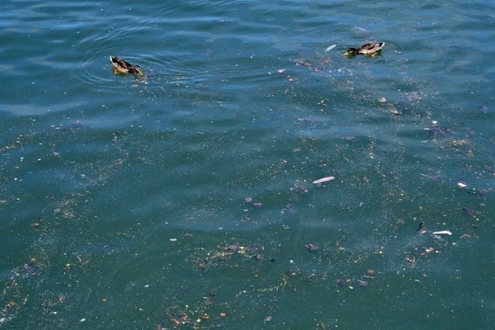 ¿Cuánto tiempo se puede vivir en Chernobyl?