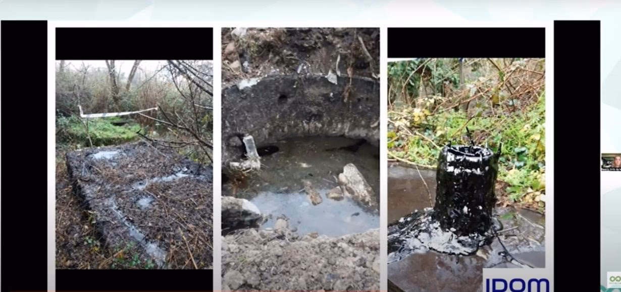 ¿Por qué los suelos contaminados pierden su capacidad de actuar como sumideros de carbono?