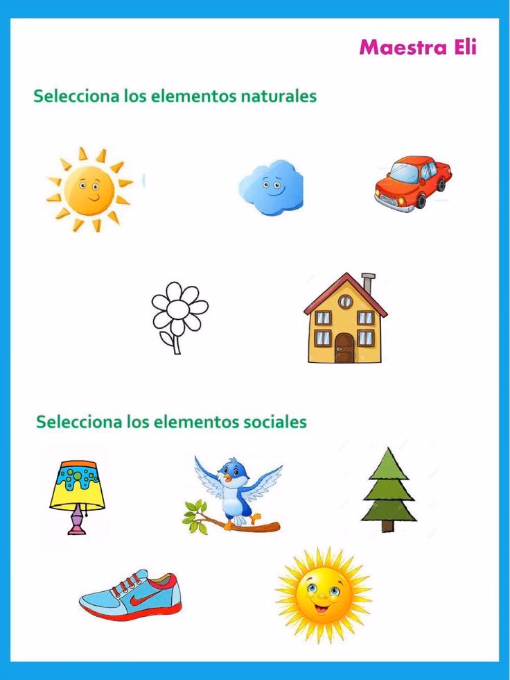 ¿Qué son los elementos sociales?