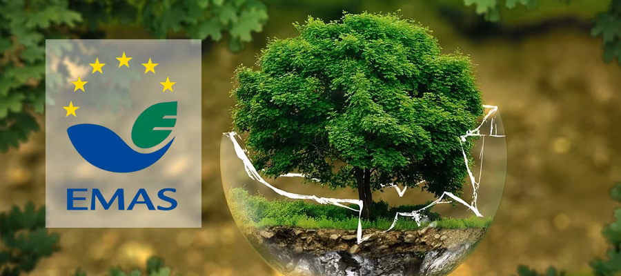 ¿Cuál es el propósito del EMAS?