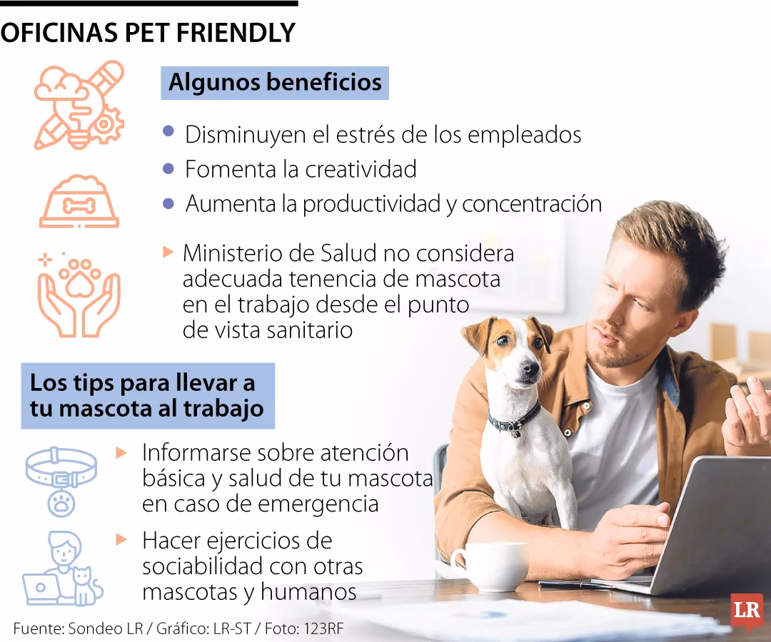 ¿Cuáles son los mejores trabajos para mascotas?