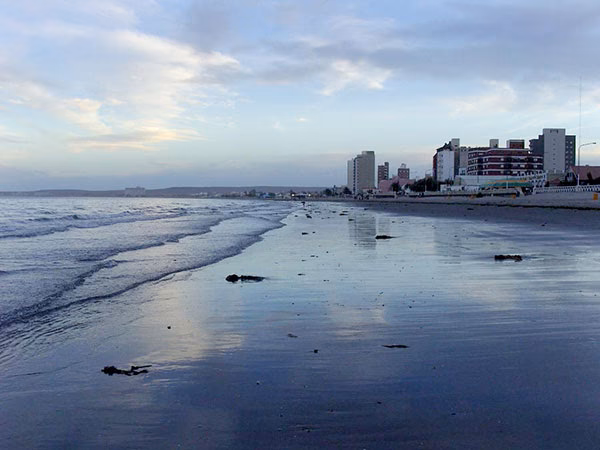 ¿Qué está pasando con la planta de Puerto Madryn?