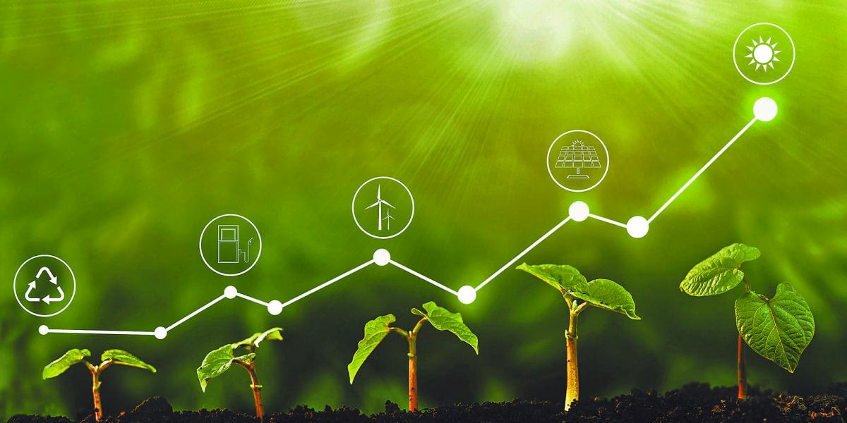 ¿Cómo promover el desarrollo sustentable en las empresas?