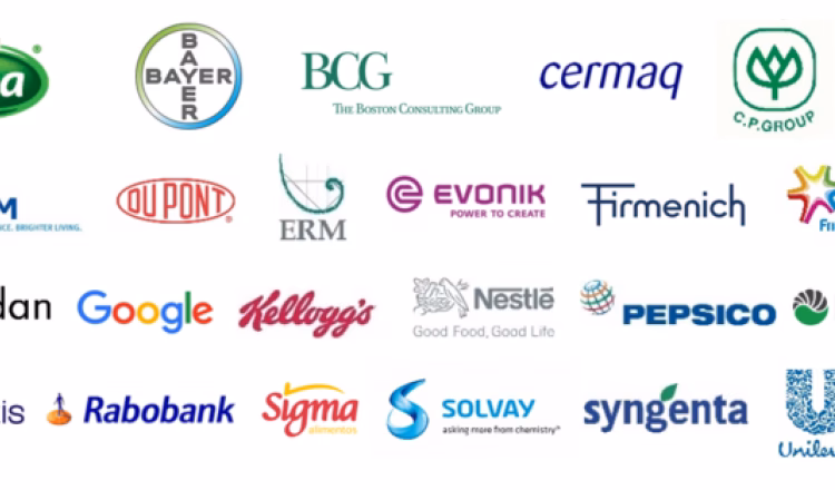 ¿Cómo promover el desarrollo sustentable en las empresas?