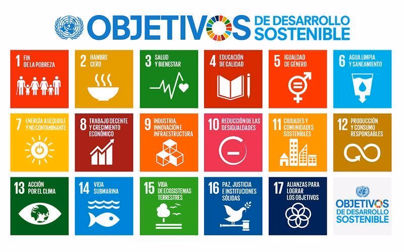 ¿Qué es una empresa sostenible y ejemplos?