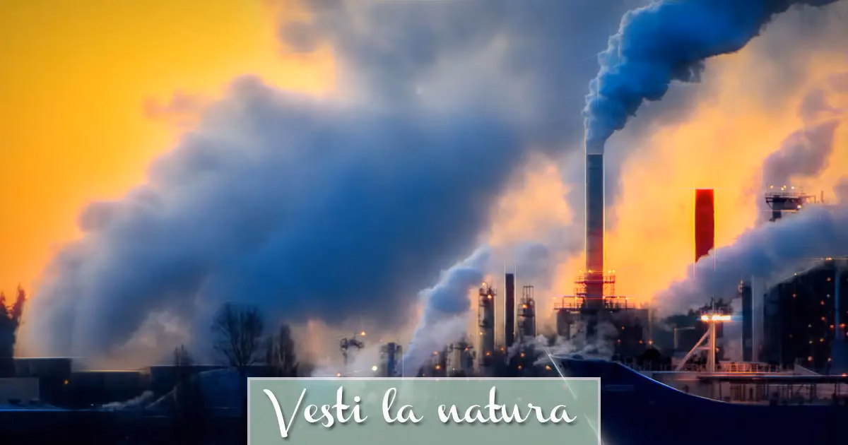 ¿Cómo afecta la industria textil al medio ambiente?