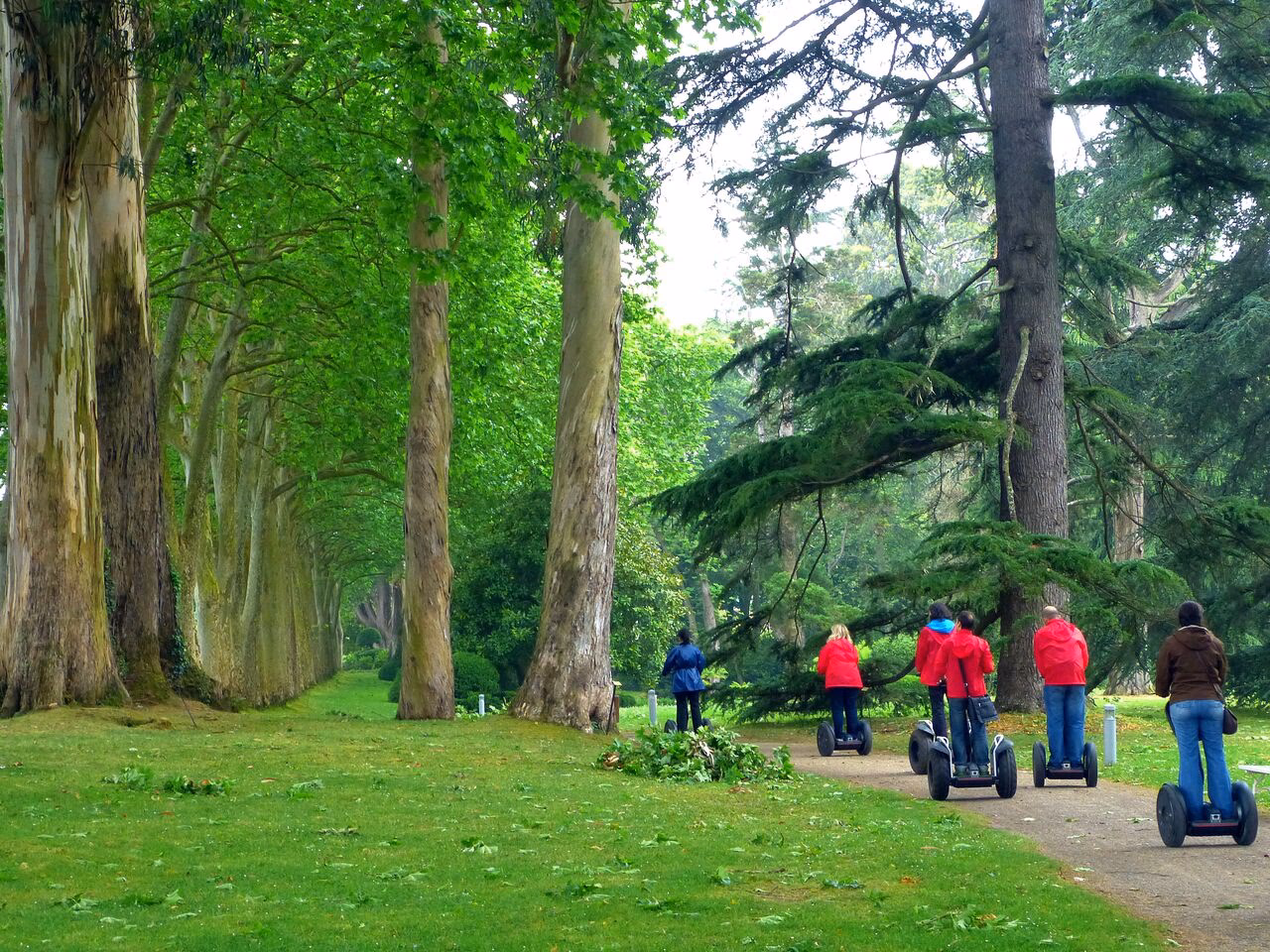 ¿Qué es la gestión turística en sustentabilidad?