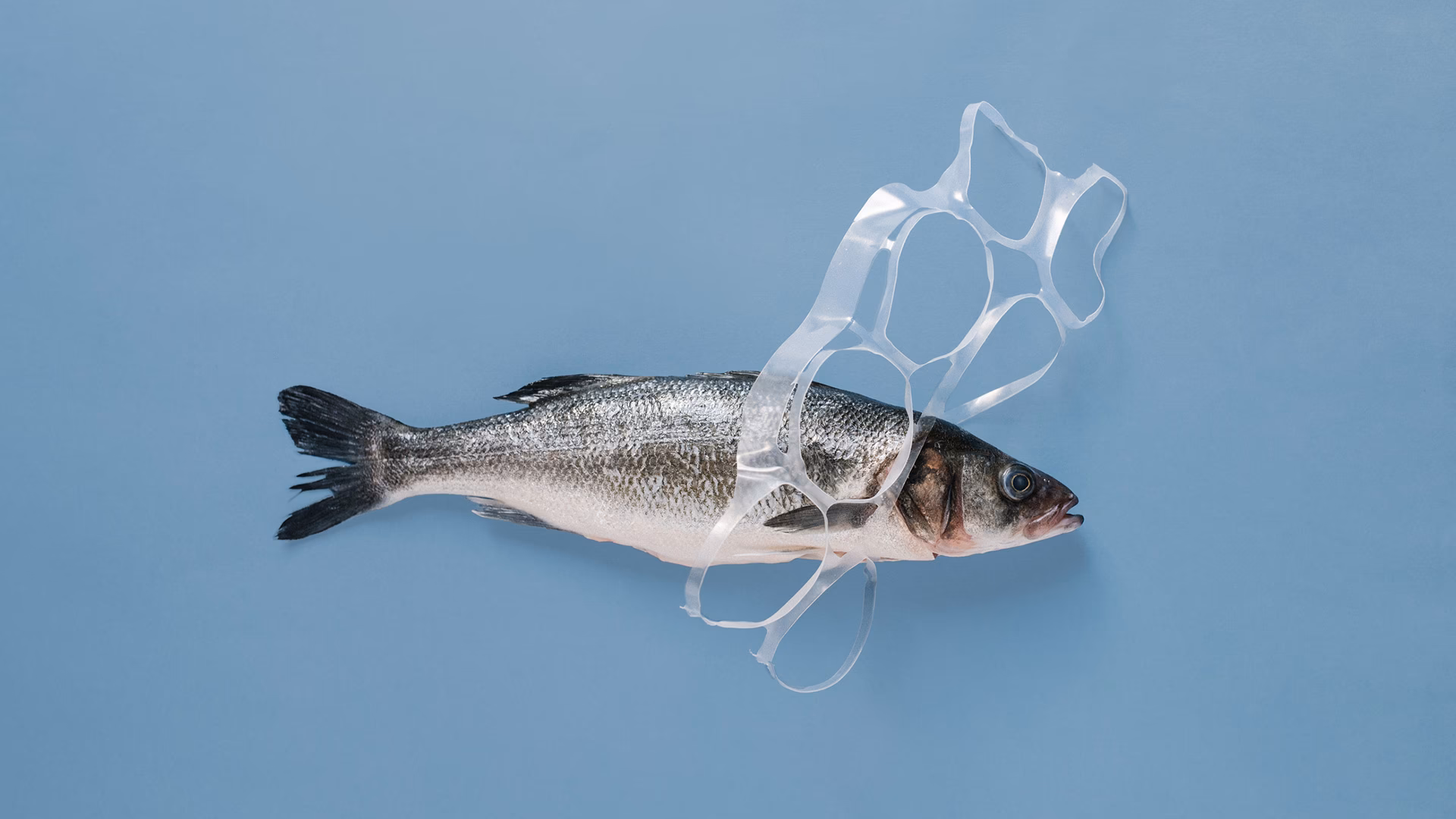 ¿Cómo podemos mitigar los efectos de la contaminación ambiental?