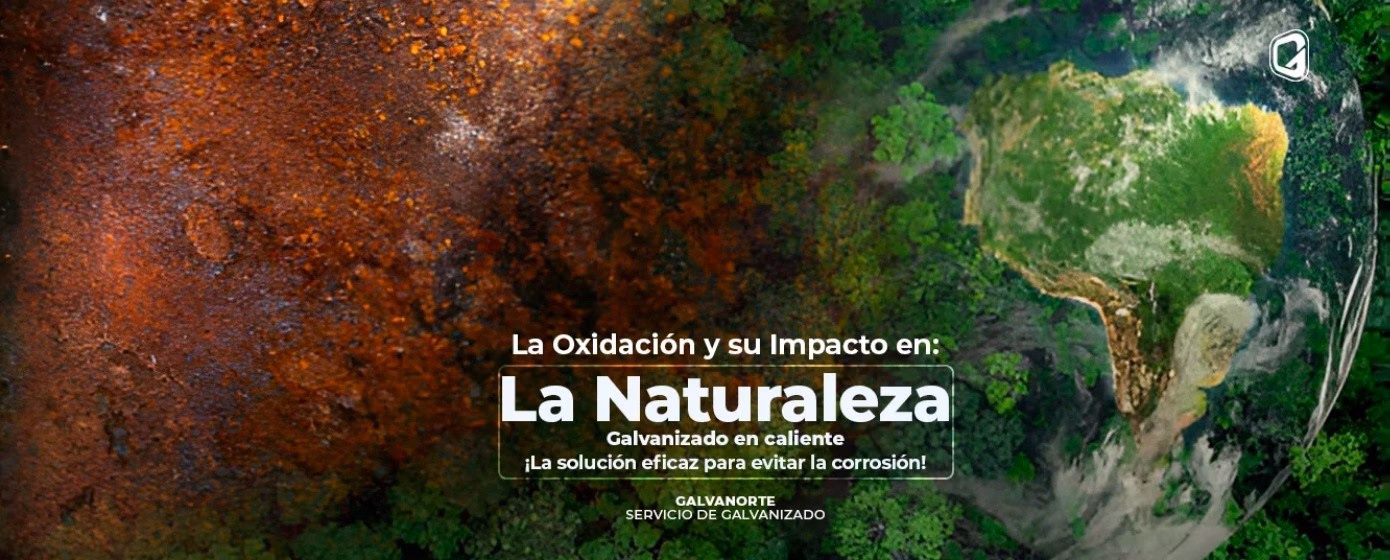 ¿Cómo afectan los residuos de los automóviles al medio ambiente?