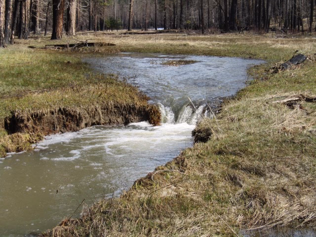 ¿Cuáles son los riesgos del agua potable?