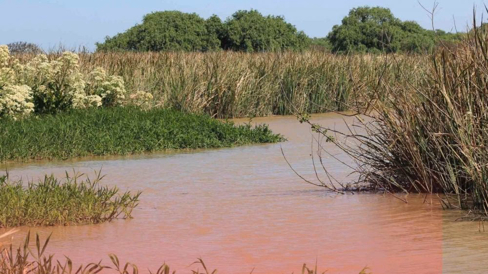 ¿Cómo es el agua en Punta Indio?