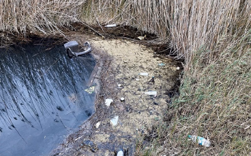 ¿Cuáles son los problemas ambientales de los humedales?
