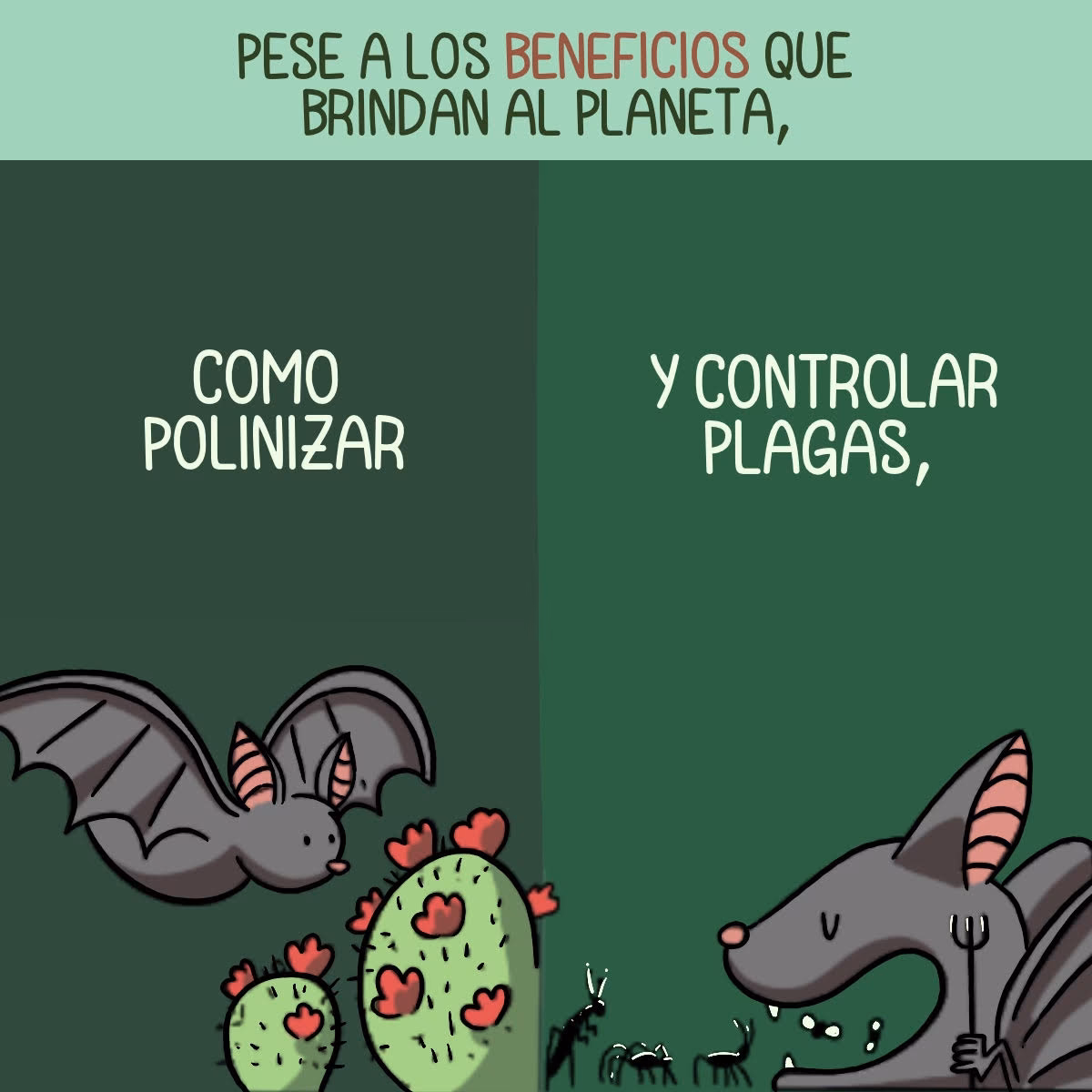 ¿Cómo ayudan los murciélagos al medio ambiente?