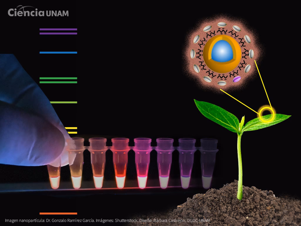 ¿Cuáles son las limitaciones de las técnicas tradicionales de detección de contaminantes?