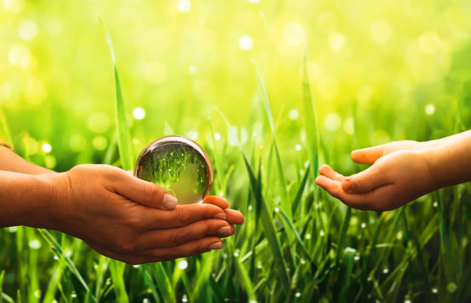 ¿Cuáles son los libros sobre la protección del Medio Ambiente?