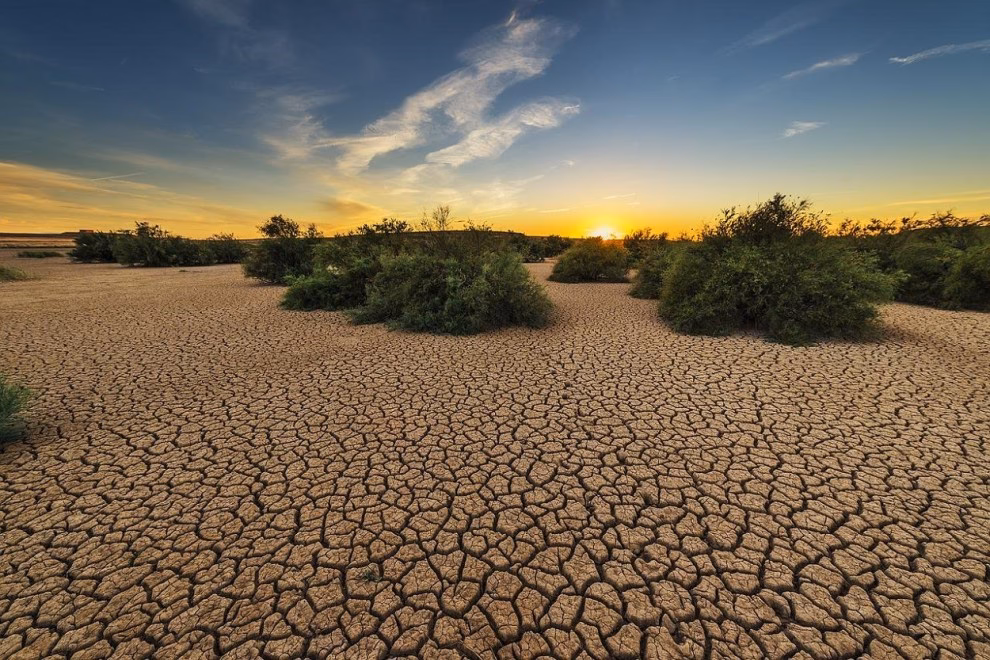 ¿Cuáles son los sectores críticos en la Transición Ecológica?