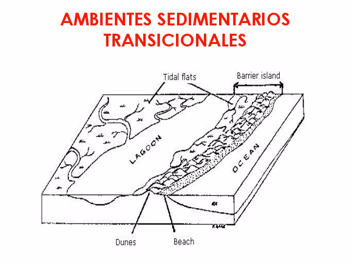 ¿Qué propone el nuevo ministerio es-pañol para la Transición Ecológica?