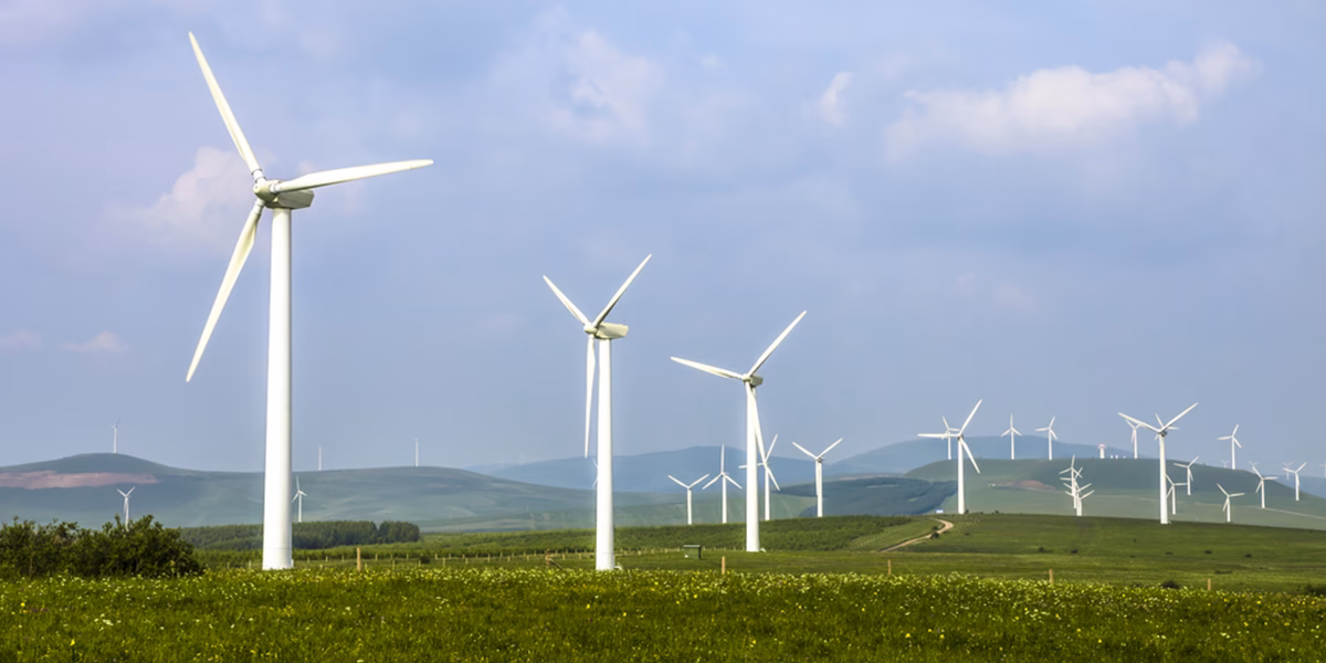 ¿Cuál es la diferencia entre un ventilador y una turbina eólica?